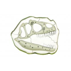 Acheter CROCS Jibbitz T-Rex Skull