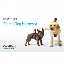 Acheter GOPRO Dog Harness /harnais pour chien