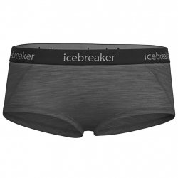 Acheter ICEBREAKER Merino Sprite Hot Pantalon /gristone hthr