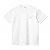 CARHARTT WIP Chase Ss Tshirt /blanc or