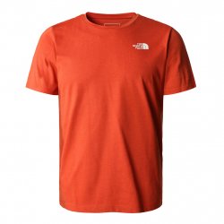 Acheter THE NORTH FACE Foundation Graphic Tee /rusted bronze