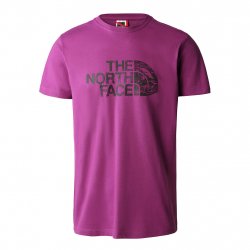 Acheter THE NORTH FACE Woodcut Dome Tee /violet cactus flower