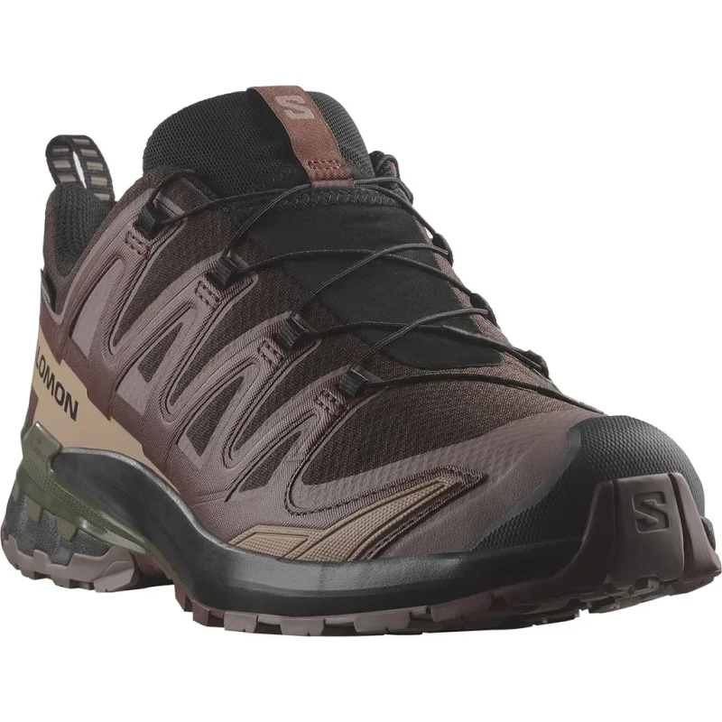 SALOMON Xa Pro 3D V9 Gtx noir coffee rum raisin olive night