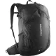 SALOMON Trailblazer 30 /noir alloy