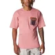 COLUMBIA Painted Peak Knit Ss Top /rose agave auburn