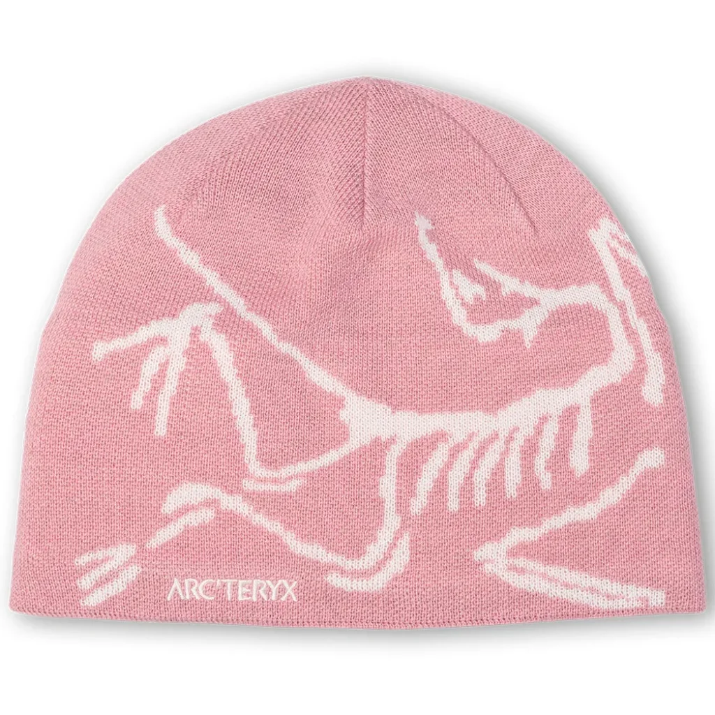 ARC'TERYX Bird Head Toque /bliss arctic silk 2025-2026 WINTER HATS