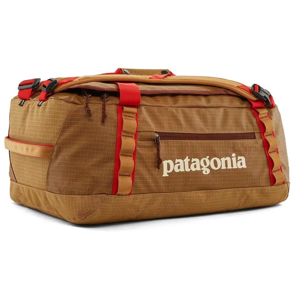 PATAGONIA Black Hole Duffel 40L /talon gold