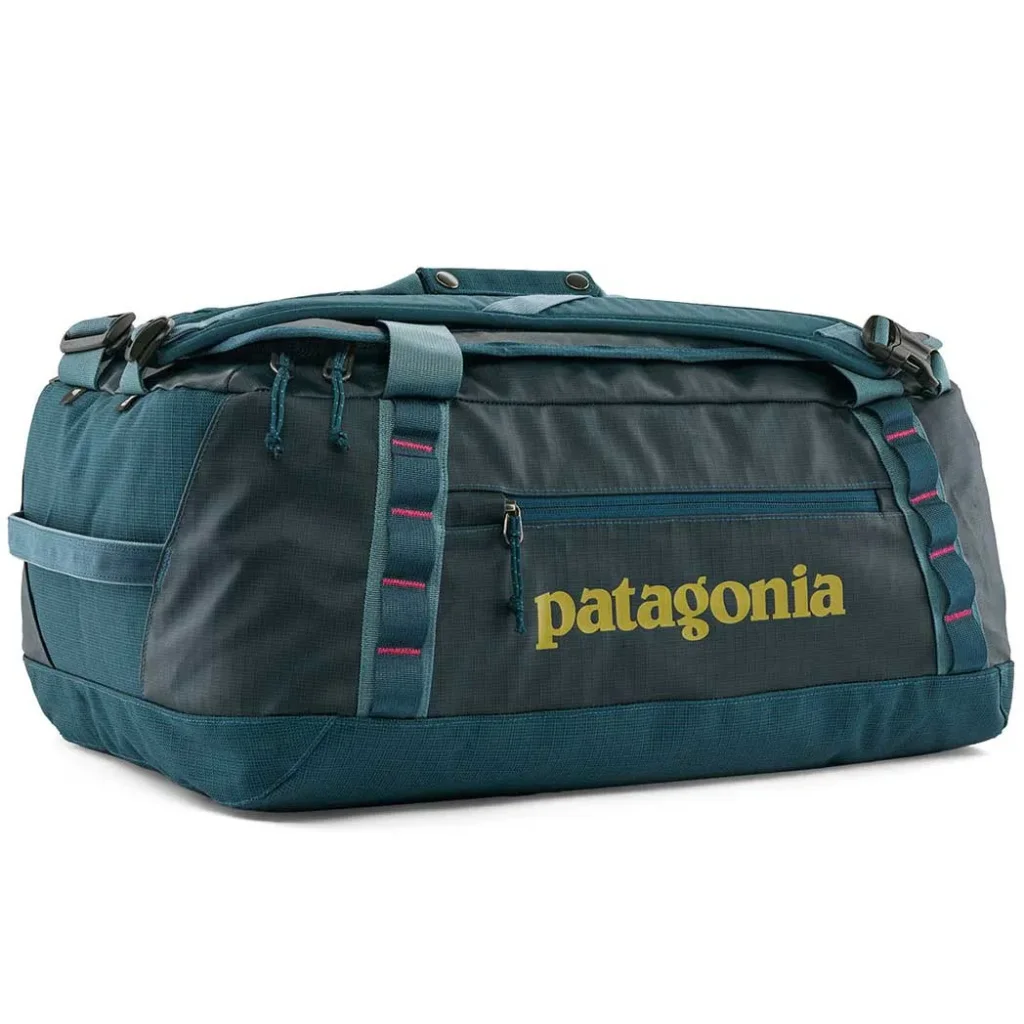 PATAGONIA Black Hole Duffel 40L /tidal teal luminous pink