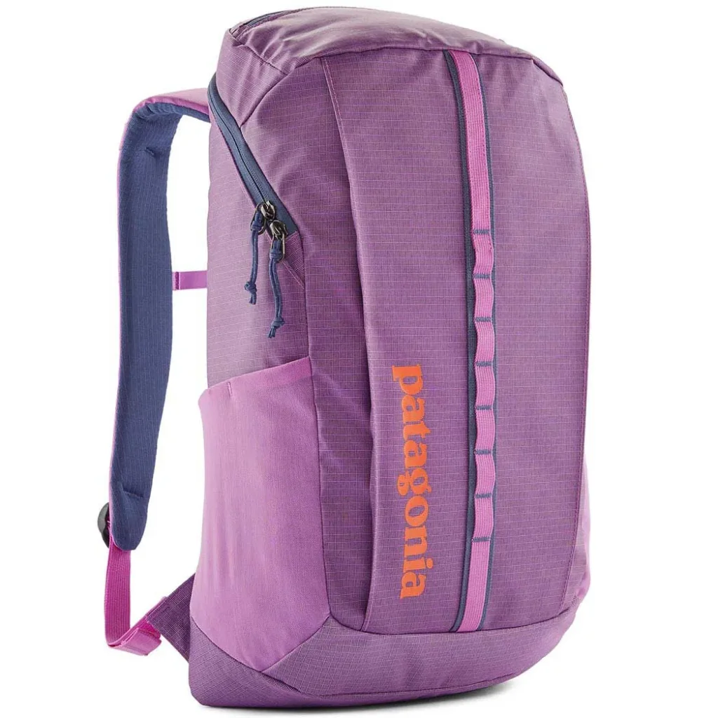 PATAGONIA Black Hole Pack 25L /brisk purple