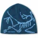ARC'TERYX Bird Head Toque /nightscape glacial