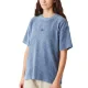 PICTURE ORGANIC Laikko Velours Tee W /stonewash