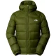 THE NORTH FACE Hydrenalite Down Hoodie /woodland vert