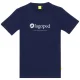 LAGOPED Teerec Drapeau /marine