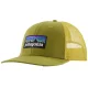 PATAGONIA P-6 Logo Trucker Hat /graze vert