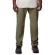 COLUMBIA Silver Ridge Utility Pantalon /stone vert