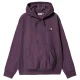 CARHARTT WIP Hooded American Script Sweat /huckleberry