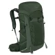 OSPREY Talon 33L /vert canopy pine