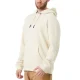 PICTURE ORGANIC Basement Hoodie /bois ash