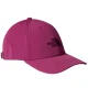 THE NORTH FACE Recycled 66 Classic Hat /cyber berry boysenberry
