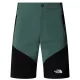 THE NORTH FACE Felik Slim Tapered Short /duck vert tnf noir