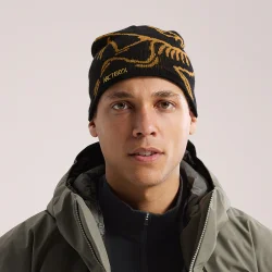 ARC'TERYX Bird Head Toque /noir