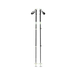 BLACK DIAMOND Expedition 3 Ski Poles /desert sage - BLACK-DIAMOND
