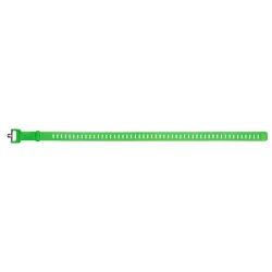 BLACK DIAMOND Ski Strap 25 In /envy vert - BLACK-DIAMOND