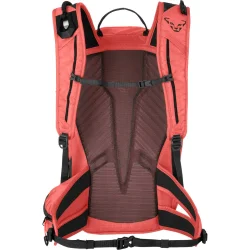 DYNAFIT Speed 22 Backpack W /cabana noir out