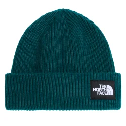 THE NORTH FACE Salty Lined Beanie /pacific sarcelle