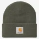 CARHARTT-WIP Short Watch Hat /shungite
