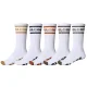 GLOBE Tilt Hi Crew Sock 5 Pack /blanc assorted