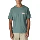 PATAGONIA 73 Skyline T-Shirt /blue sage