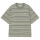 CARHARTT WIP Zane Ss T-Shirt /zane bandes dollar vert