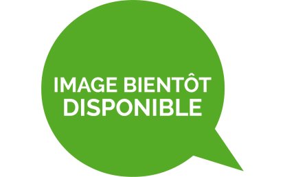 Le système Mondopoint des chaussures de ski