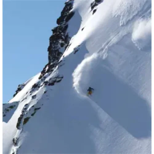 Marque - Blizzard