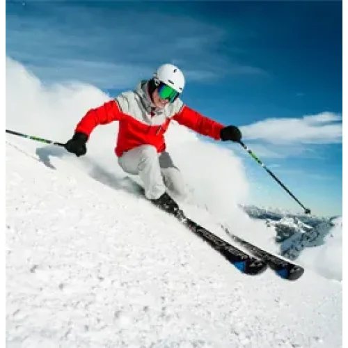 Marque - Fischer (ski)