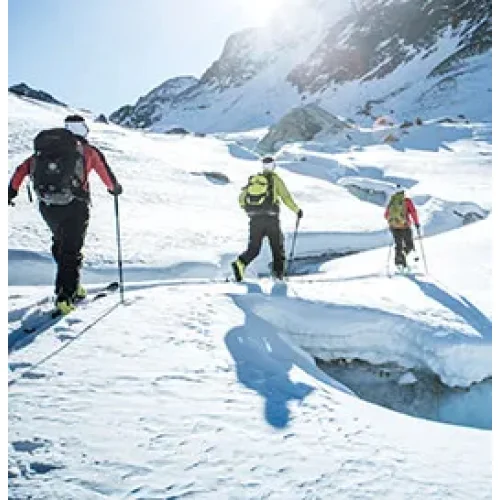 Marque - fischer (ski de rando)