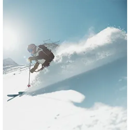 Marque - Dynastar (ski,ski freeride)