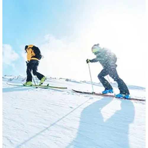 Marque - Black crows (ski rando)